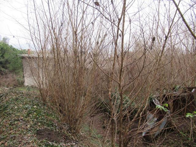 #23029 Terreni agricoli con fabbricati precari in vendita - foto 11