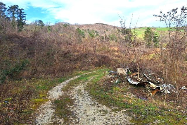 Balneari e termali in vendita