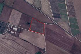 Agricoli in vendita