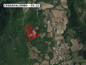 Agricoli in vendita