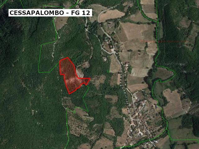 Agricoli in vendita