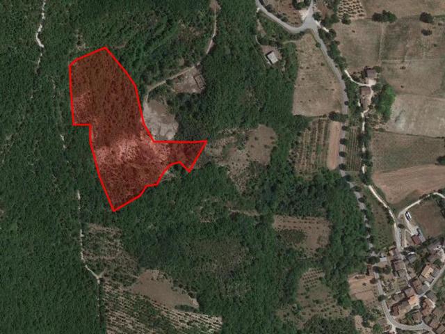 Agricoli in vendita