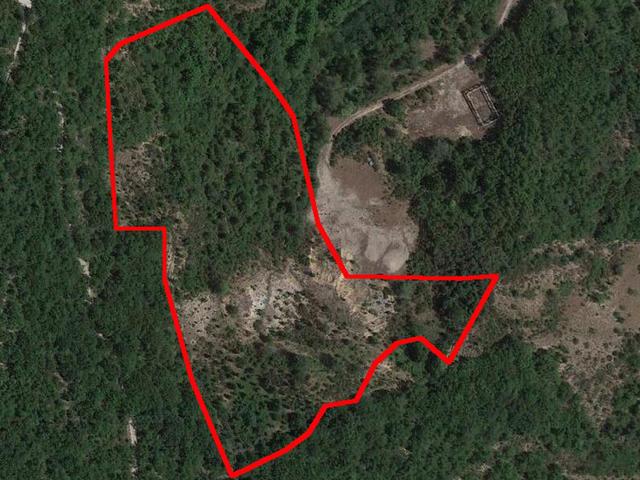 #16028 Appezzamenti di terreno agricolo destinati a tartufaia in vendita - foto 3