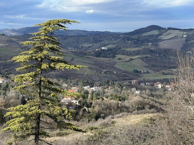 Appartamenti in vendita