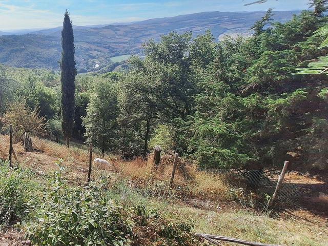 Indipendenti in vendita