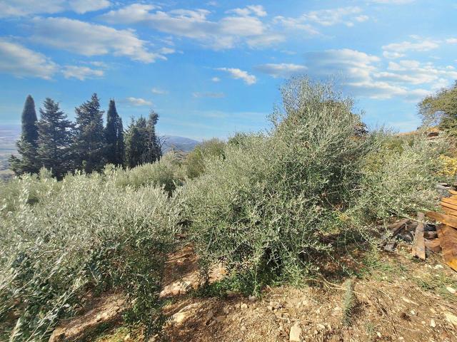 Indipendenti in vendita