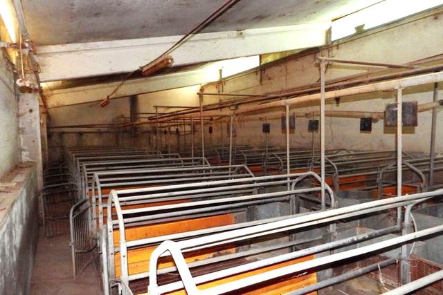 Stabilimenti produttivi in vendita