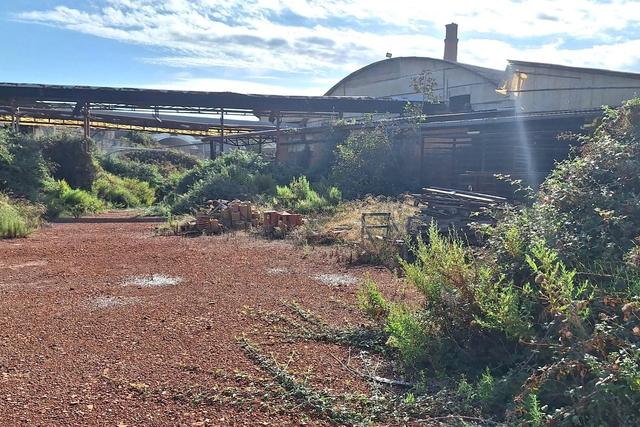 #24602 Stabilimento produttivo con uffici e impianti in vendita - foto 16