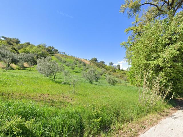 photogallery 2