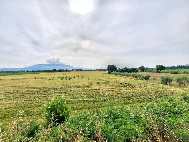 Rustici e casali in vendita