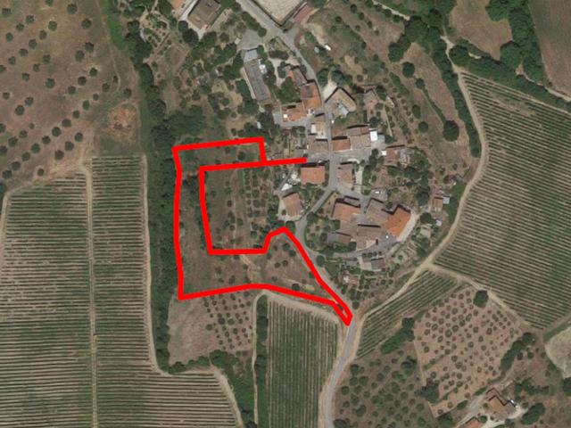 Edificabili in vendita