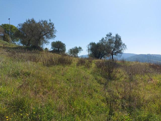 Edificabili in vendita