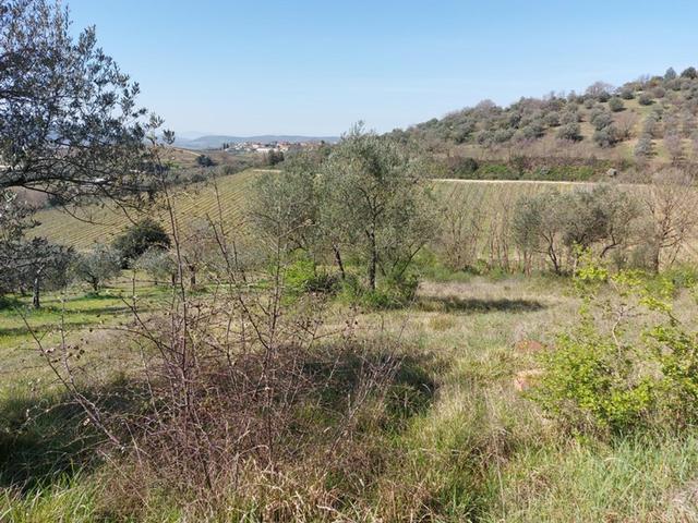 #12302 Terreno edificabile residenziale e agricolo di 5.805 mq in vendita - foto 20