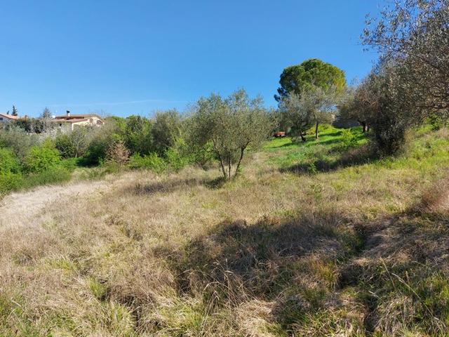 Edificabili in vendita