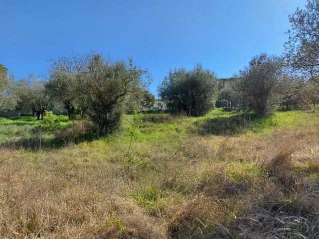 Edificabili in vendita
