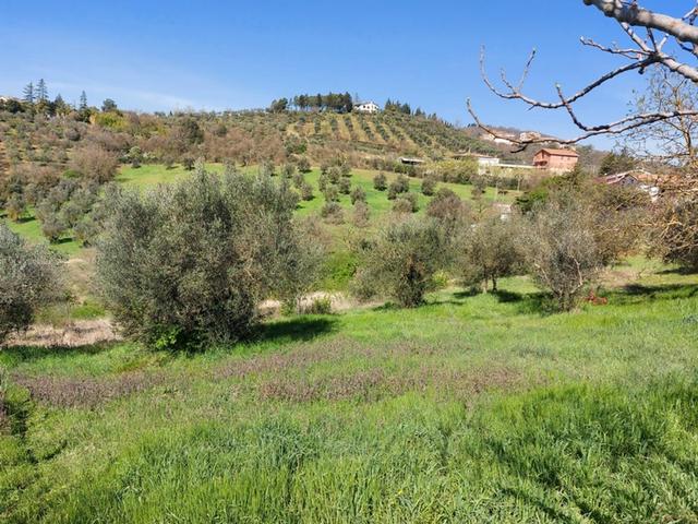 #12302 Terreno edificabile residenziale e agricolo di 5.805 mq in vendita - foto 5