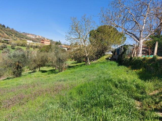 #12302 Terreno edificabile residenziale e agricolo di 5.805 mq in vendita - foto 4