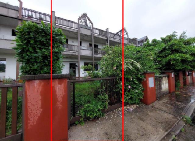 photogallery 1