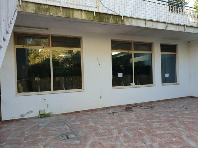 photogallery 22