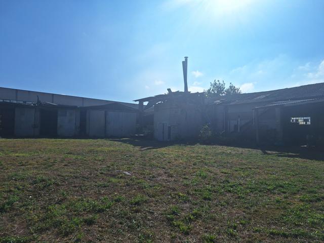 #2537084 Capannone ex segheria in vendita - foto 7