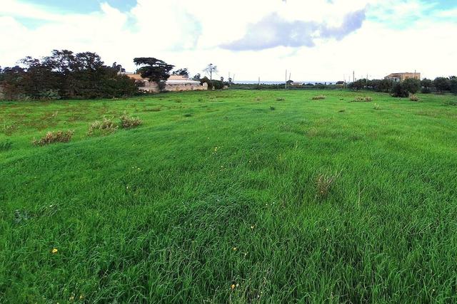 Agricoli in vendita