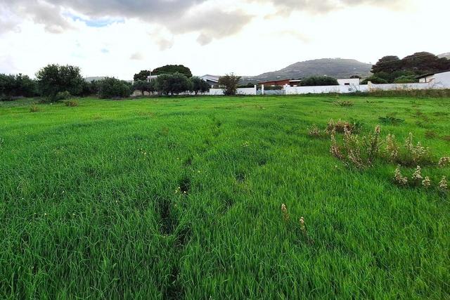Agricoli in vendita