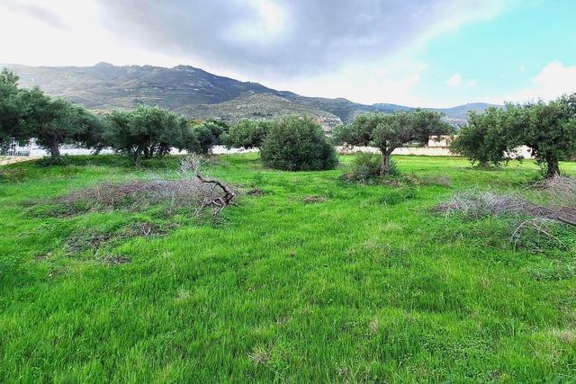 #24972 Terreno agricolo in zona rurale di espansione in vendita - foto 3