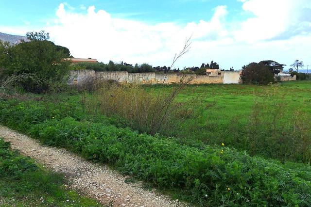 Agricoli in vendita