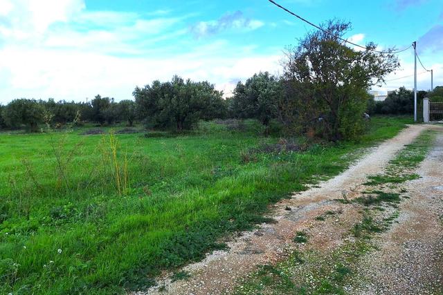 Agricoli in vendita