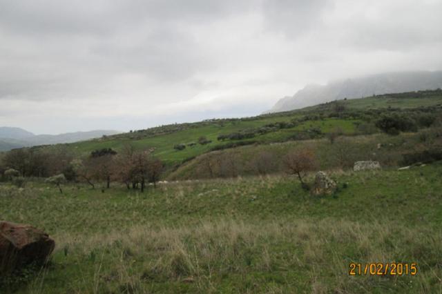 #12960 Terreni agricoli in vendita - foto 1