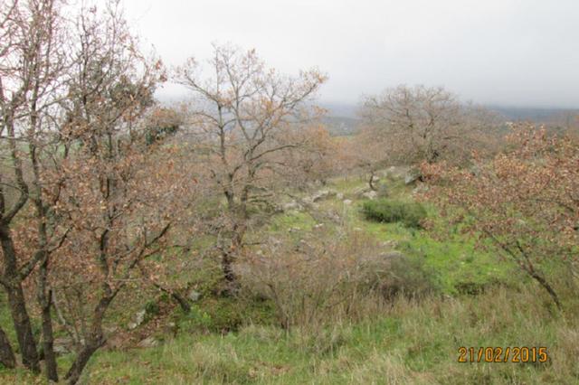 #12960 Terreni agricoli in vendita - foto 3