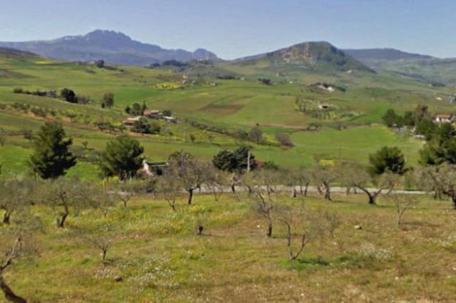 #12960 Terreni agricoli in vendita - foto 4