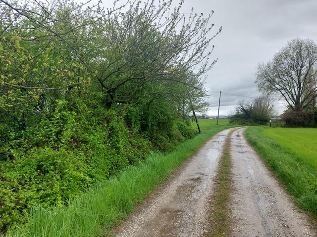 #2638943 Ampio terreno edificabile residenziale in vendita - foto 2