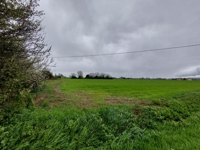 Edificabili in vendita