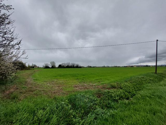 Edificabili in vendita