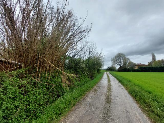 Edificabili in vendita