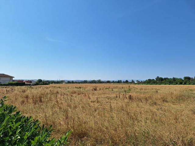 #2536205 Terreno edificabile residenziale di 2.546 mq in vendita - foto 5