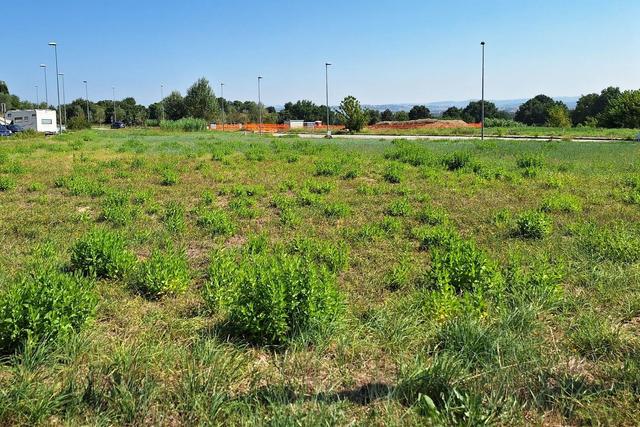 #21690 Area edificabile residenziale di 4133 mq in vendita - foto 7