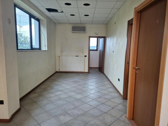 Grandi dimensioni in vendita