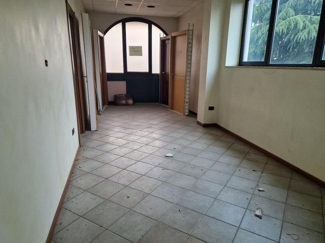 Grandi dimensioni in vendita