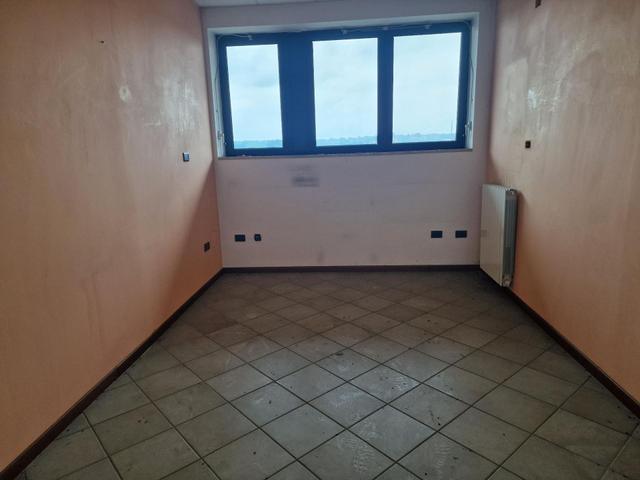 Grandi dimensioni in vendita