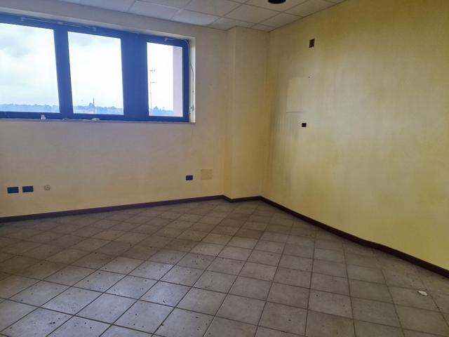 Grandi dimensioni in vendita