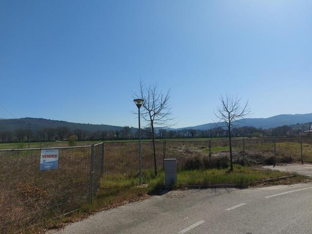 #12301 Terreno edificabile residenziale di 5.356 mq in vendita - foto 2