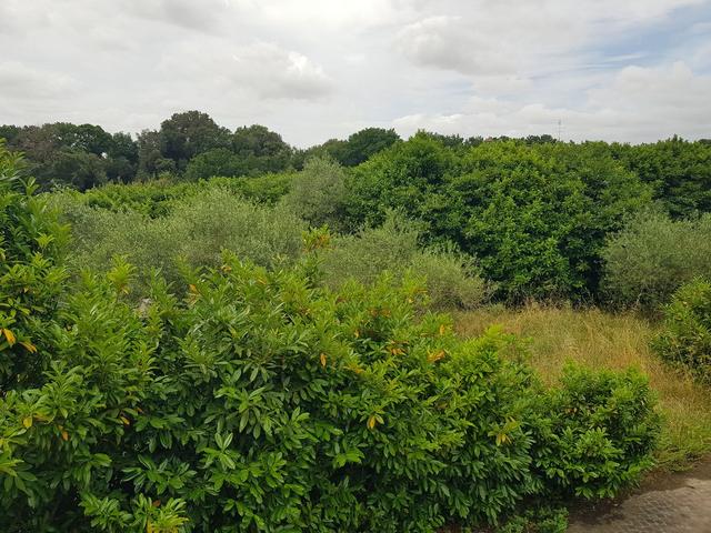 Ville in vendita