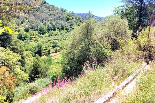 #24282 Lotto di terreno (porzione 3) in ex polveriera in vendita - foto 2