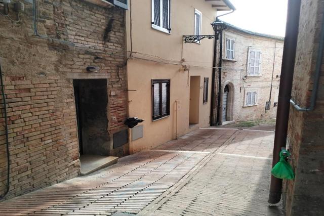 Appartamenti in vendita