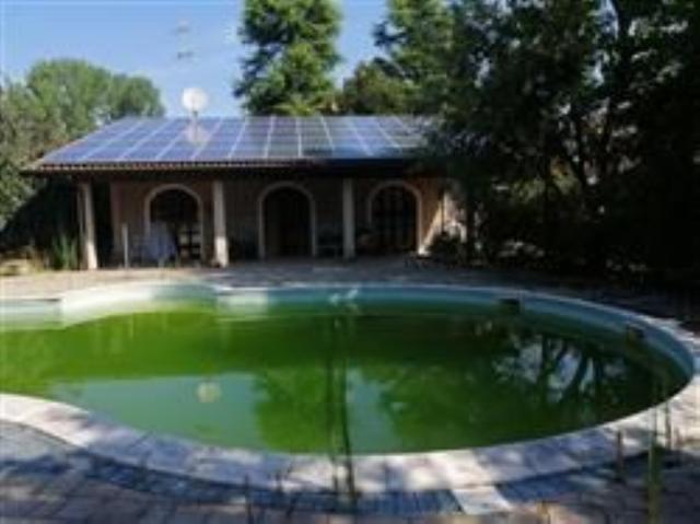 photogallery 7