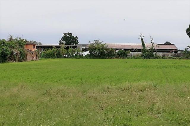 Agricoli in vendita