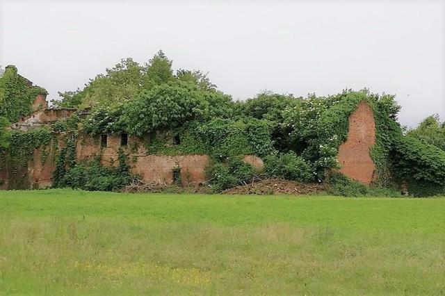 Agricoli in vendita