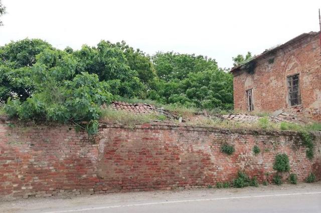 Agricoli in vendita